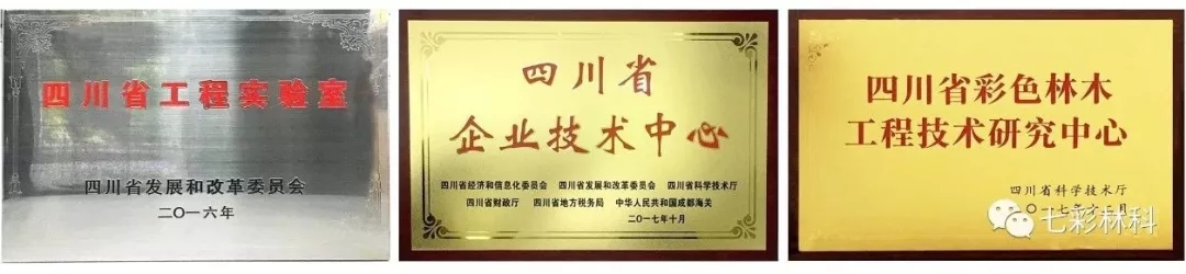 硬實力！七彩林科榮膺四川技術(shù)創(chuàng)新百強！