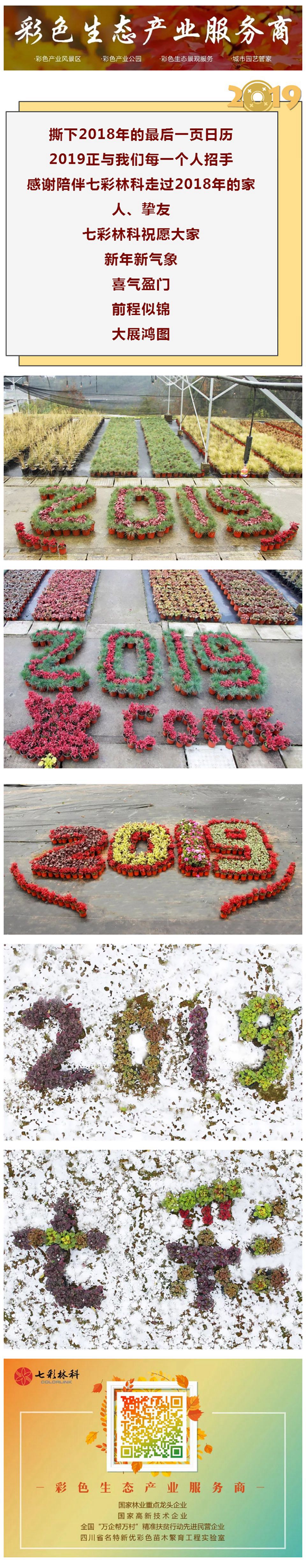 Hello，2019！