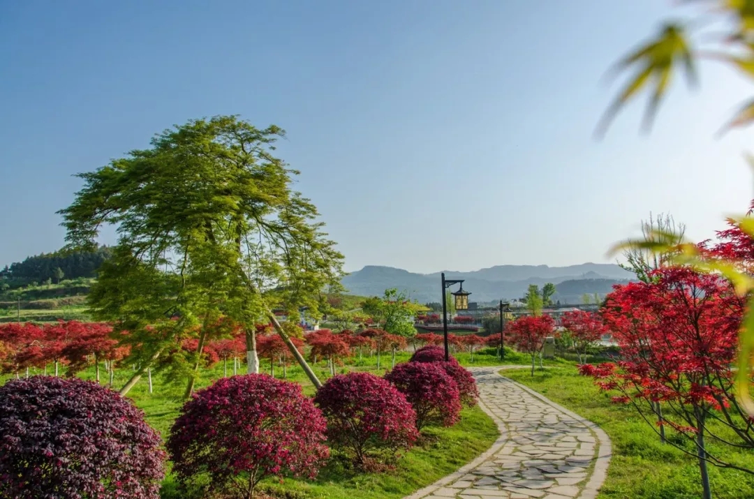 聚焦七彩|七彩林科榮獲“國家林業(yè)標(biāo)準(zhǔn)化示范企業(yè)”稱號(hào)