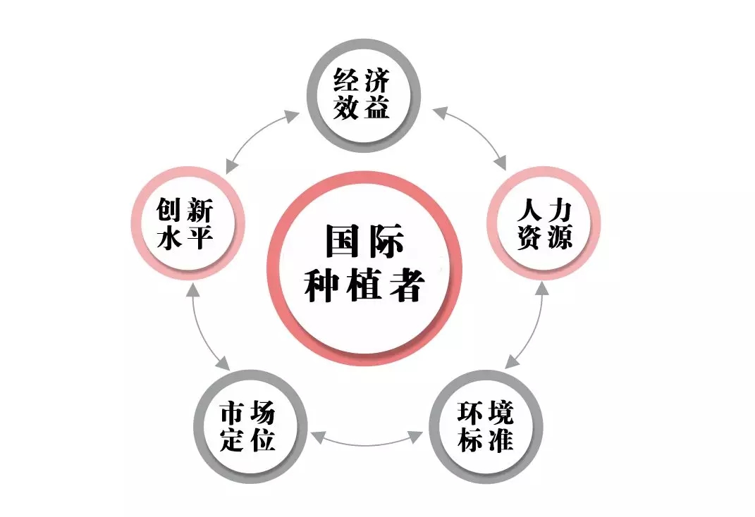 聚焦七彩|七彩林科摘得國(guó)際園藝界“奧斯卡”——2019國(guó)際種植者種苗類銅獎(jiǎng) 聚焦七彩|七彩林科摘得國(guó)際園藝界“奧斯卡”——2019國(guó)際種植者種苗類銅獎(jiǎng)