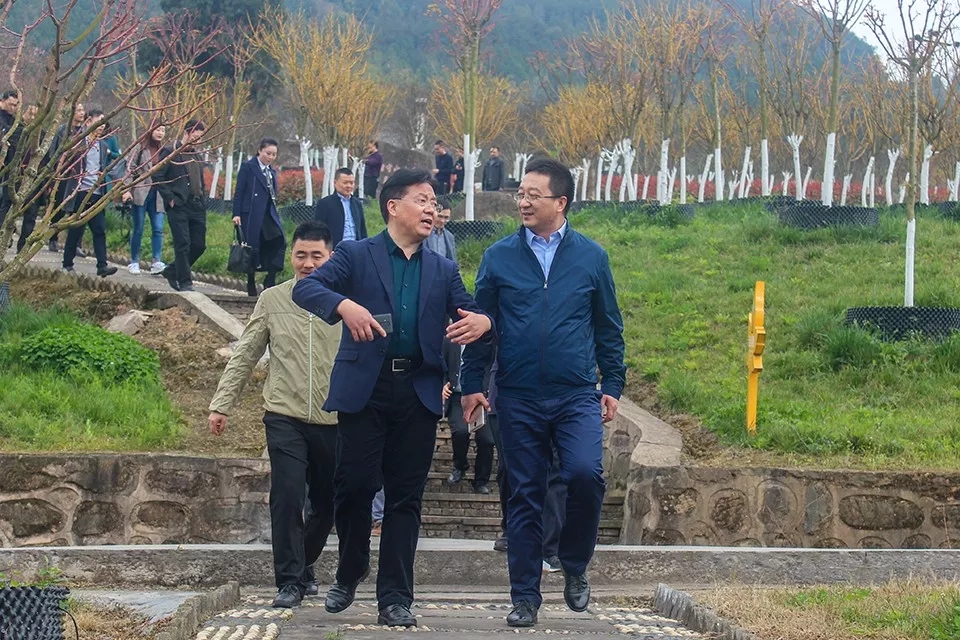 聚焦七彩|成都市高新管委會副主任陳衛(wèi)東率隊調(diào)研七彩林科