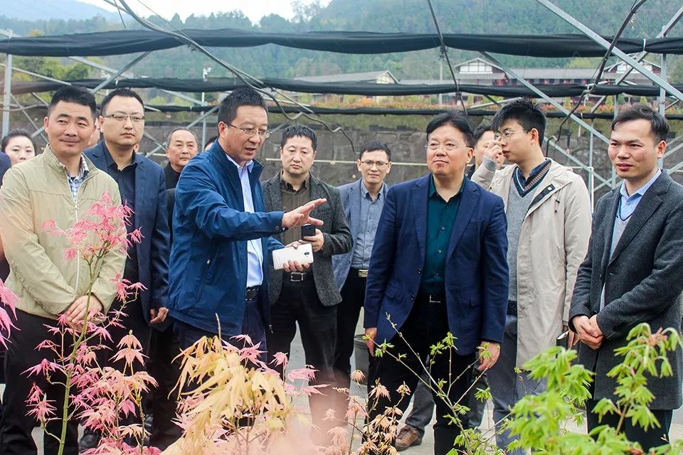 聚焦七彩|成都市高新管委會副主任陳衛(wèi)東率隊調(diào)研七彩林科