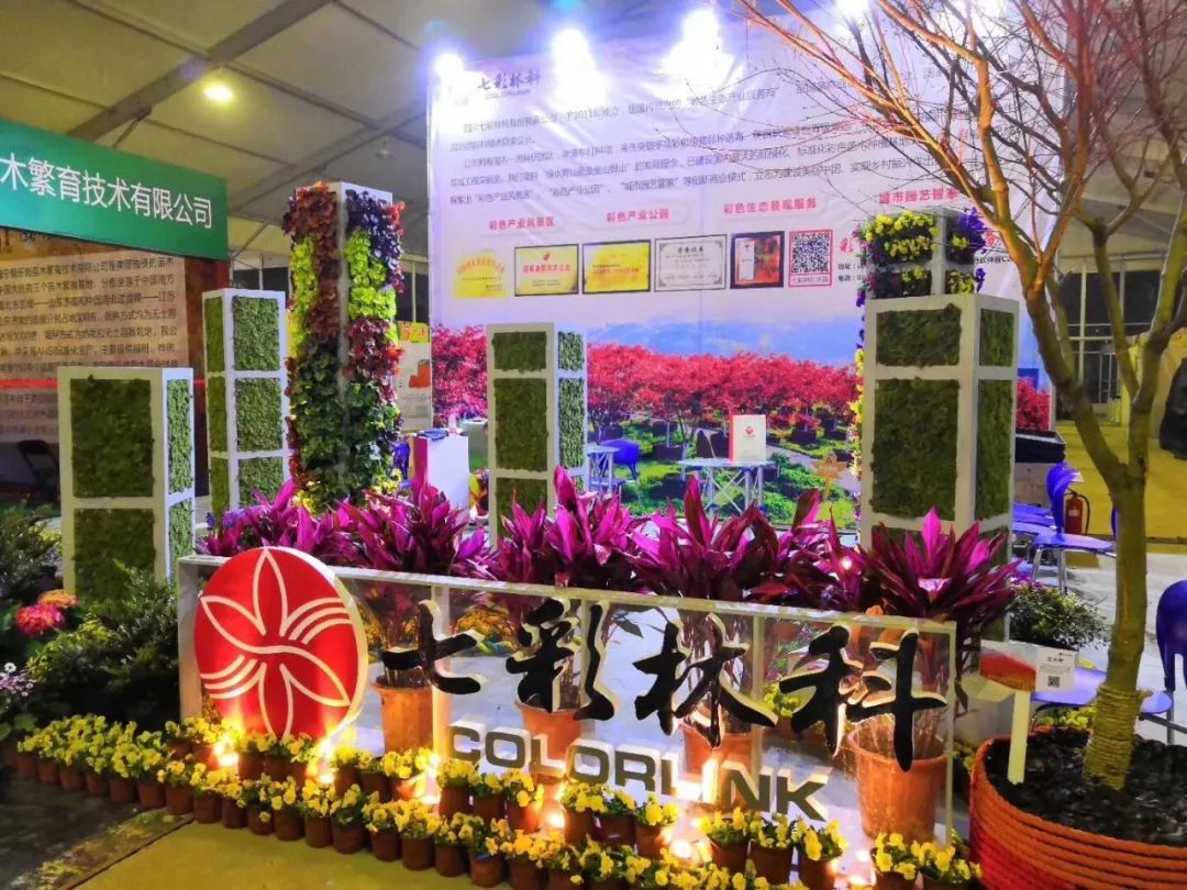 聚焦七彩|驚艷亮相蕭山花木節(jié)，全新品種榮獲“金獎產(chǎn)品”