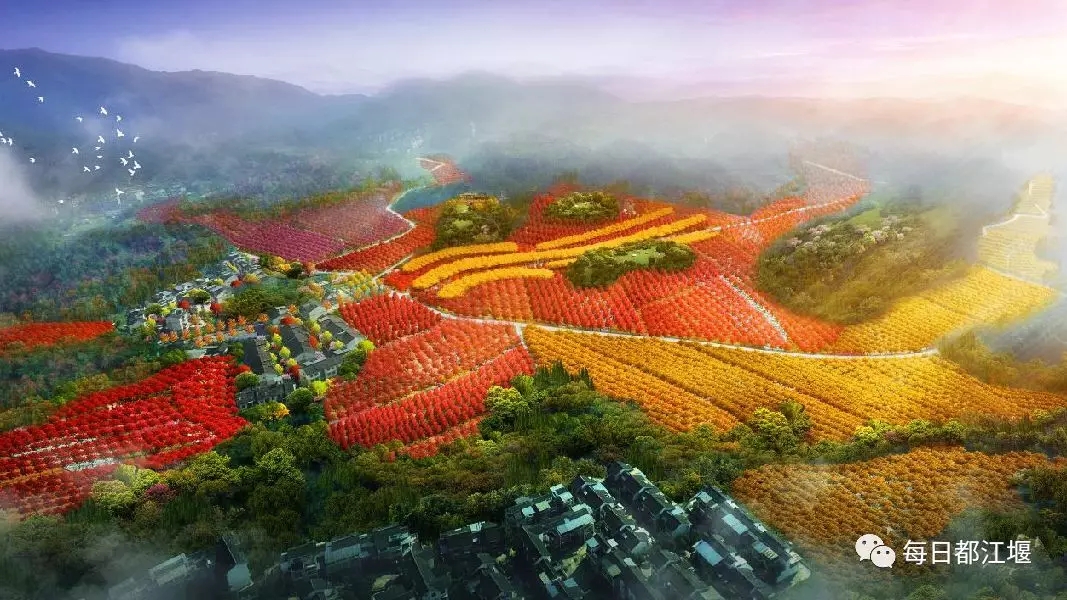 美翻了！都江堰千畝彩林成一道亮麗風景線！趕快來打卡！