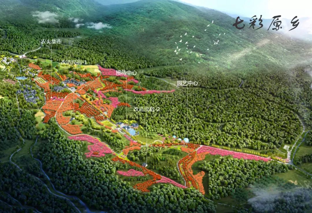 美翻了！都江堰千畝彩林成一道亮麗風景線！趕快來打卡！