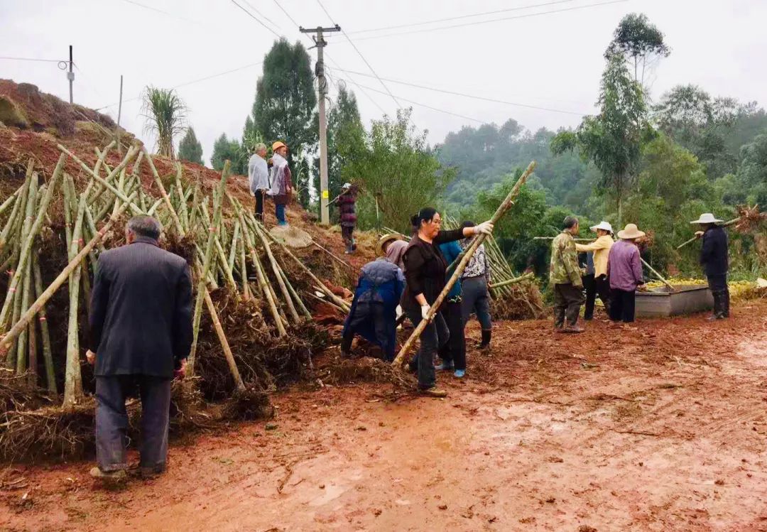 聚焦七彩| 十里紅楓千人醉 ,千畝彩林萬人至！