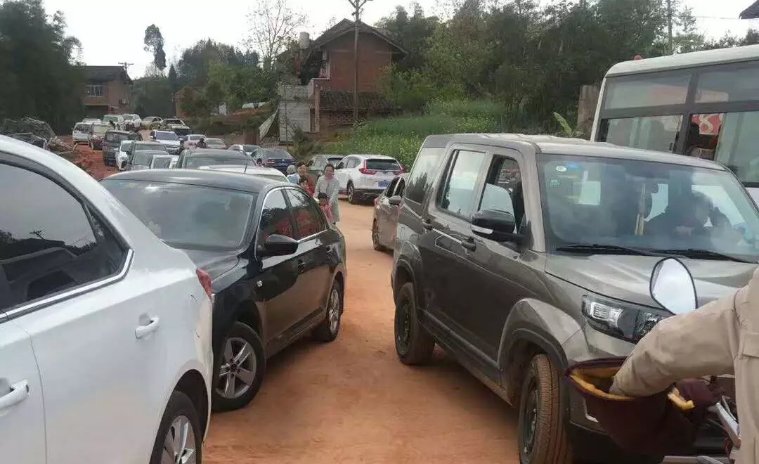 聚焦七彩| 十里紅楓千人醉 ,千畝彩林萬人至！