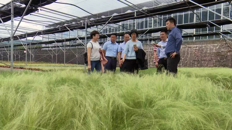 聚焦七彩┃ 合作共贏謀發(fā)展 七彩林科助力廣東陸河鄉(xiāng)村振興項(xiàng)目建設(shè)