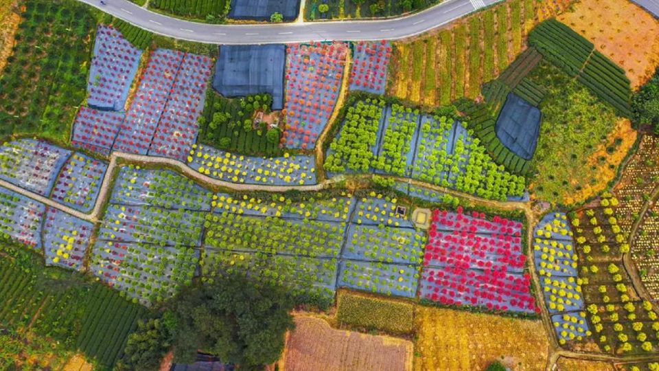 聚焦七彩 ▏亮相環(huán)境日主題活動(dòng)，七彩林科與你共建美麗中國(guó)！