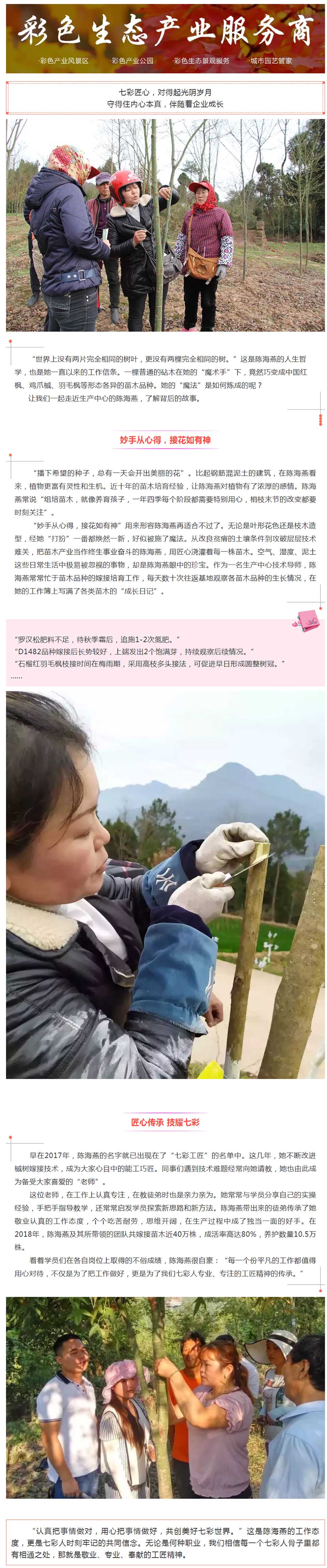 七彩匠心┃陳海燕：專注于心 專業(yè)于行