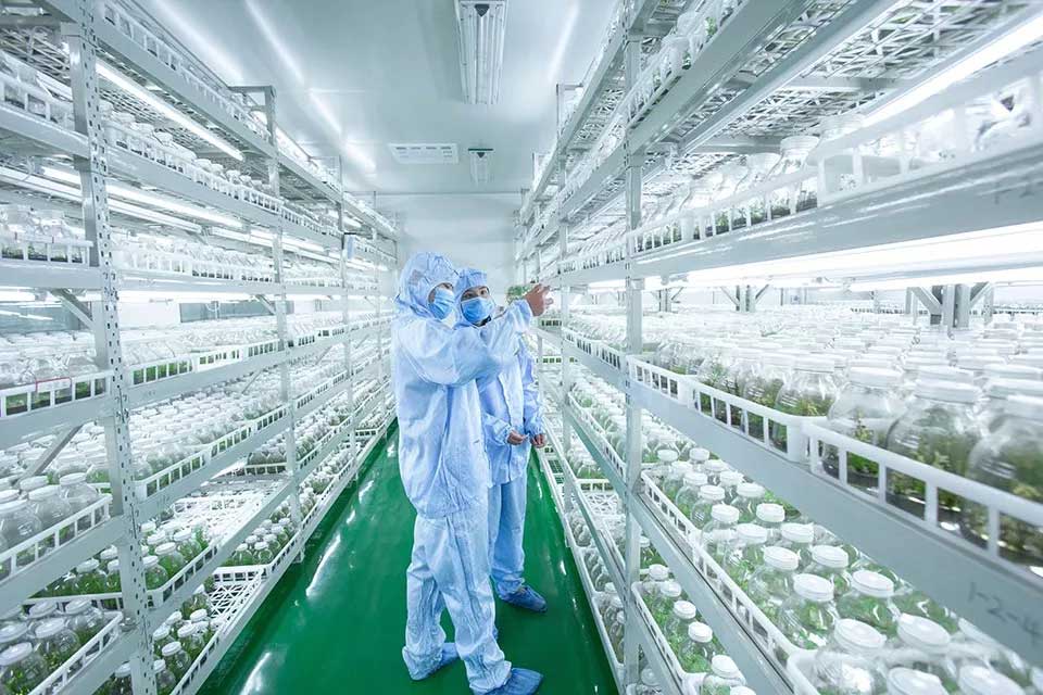 聚焦七彩|七彩林科長(zhǎng)灘花卉苗木基地入選“省級(jí)花卉產(chǎn)業(yè)園區(qū)”