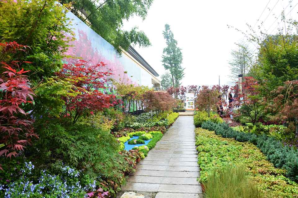 七彩林科驚艷亮相第三屆四川生產旅游博覽會（西部?成都花木博覽會）