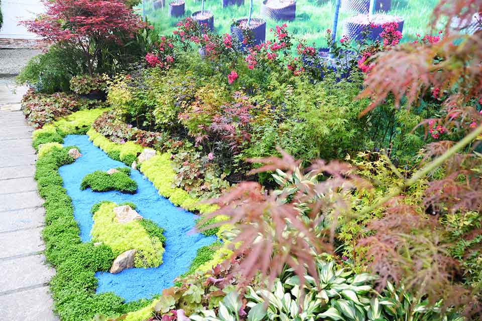 七彩林科驚艷亮相第三屆四川生產旅游博覽會（西部?成都花木博覽會）