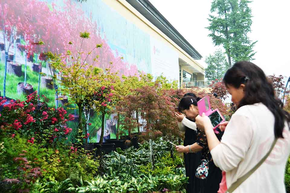 七彩林科驚艷亮相第三屆四川生產旅游博覽會（西部?成都花木博覽會）