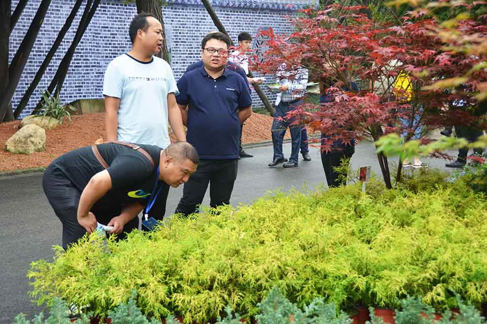 七彩林科驚艷亮相第三屆四川生產旅游博覽會（西部?成都花木博覽會）