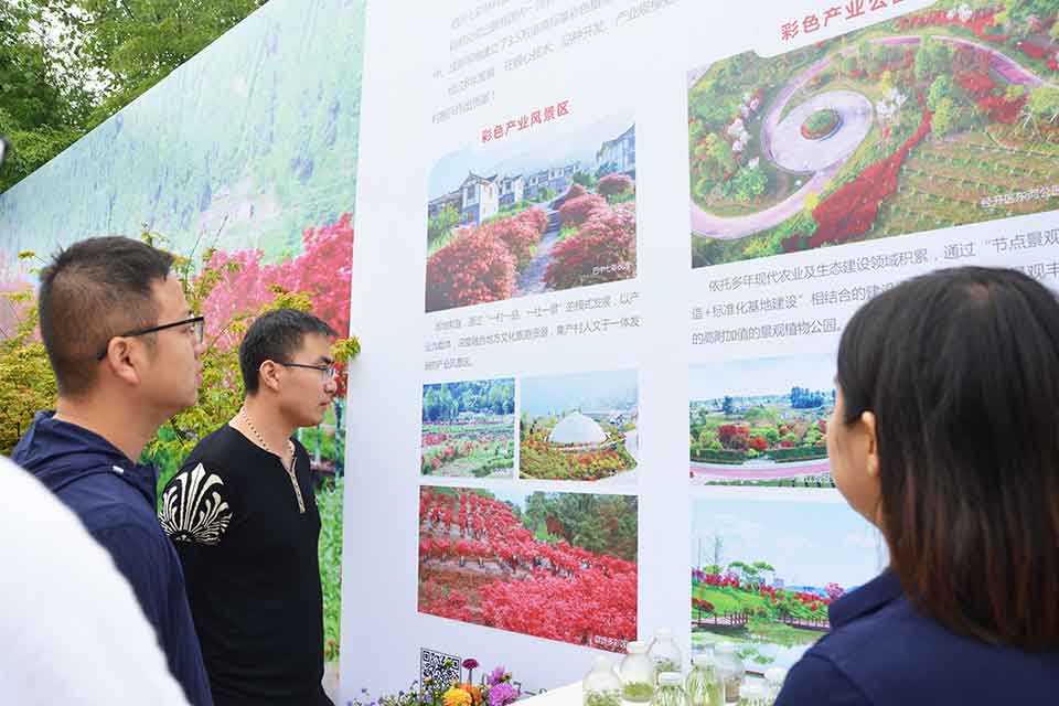 七彩林科驚艷亮相第三屆四川生產旅游博覽會（西部?成都花木博覽會）