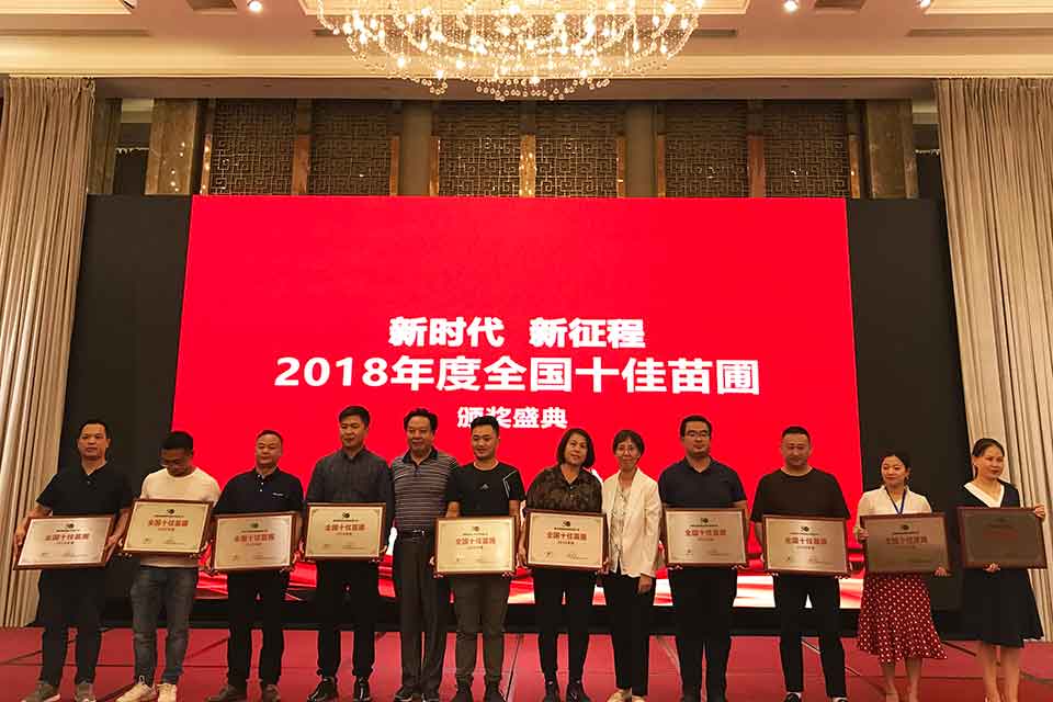 聚焦七彩|七彩林科榮獲“2018年度全國十佳苗圃” 聚焦七彩|七彩林科榮獲“2018年度全國十佳苗圃”