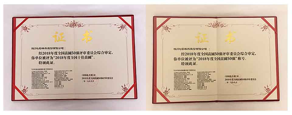 聚焦七彩|七彩林科榮獲“2018年度全國十佳苗圃”