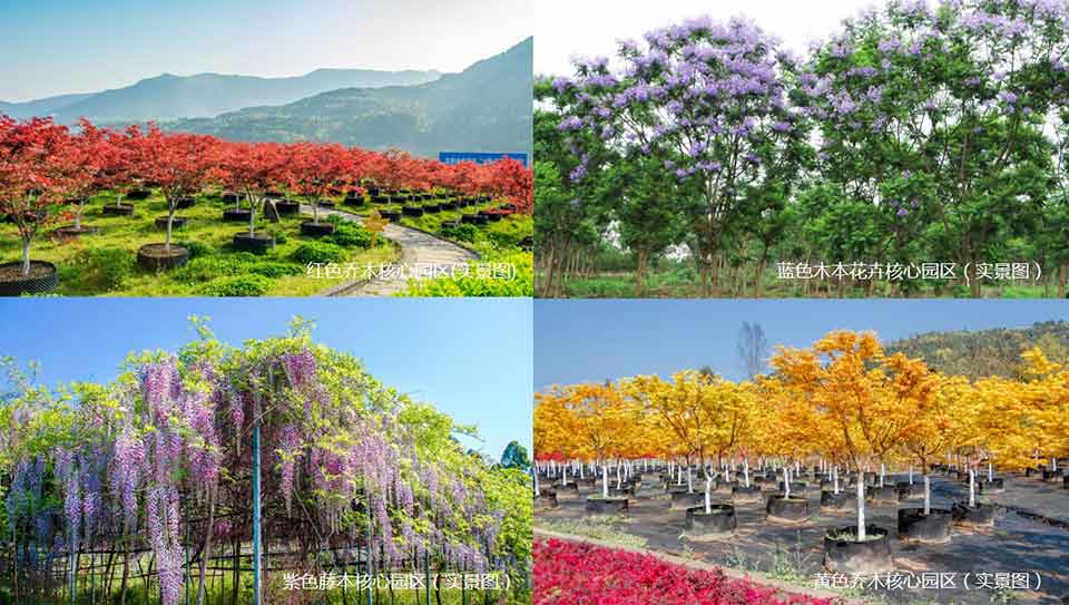 聚焦七彩|七彩林科榮獲“2018年度全國十佳苗圃”