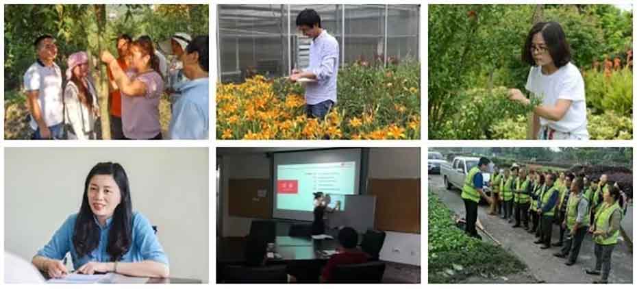 聚焦七彩|七彩林科榮獲“2018年度全國十佳苗圃”