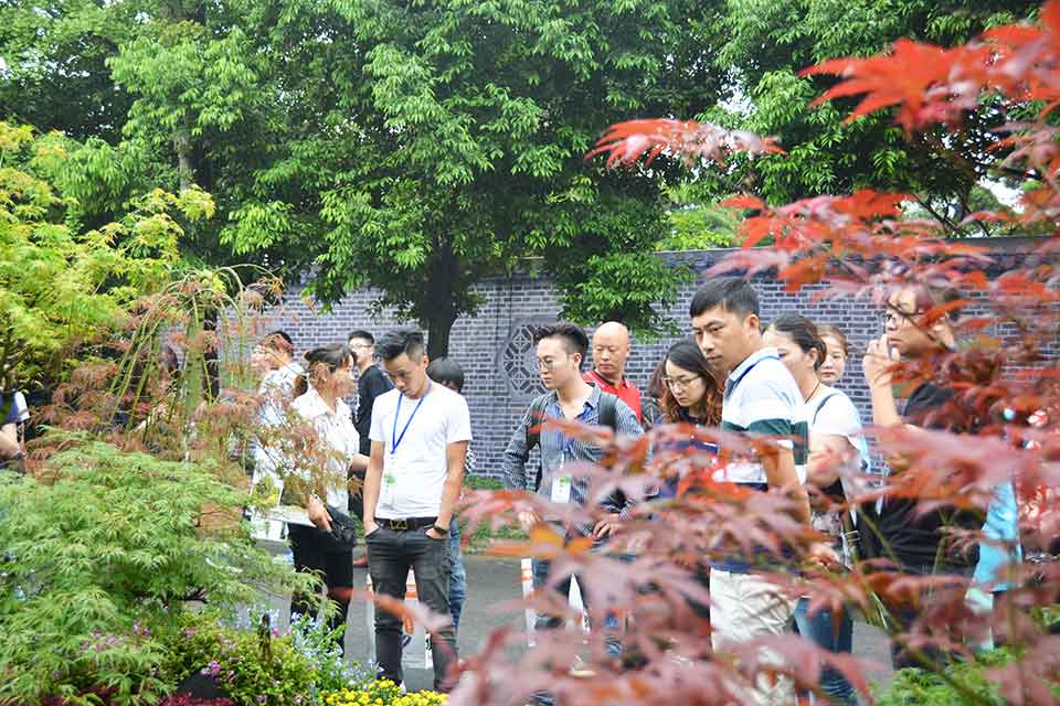 七彩林科驚艷亮相第三屆四川生產旅游博覽會（西部?成都花木博覽會）