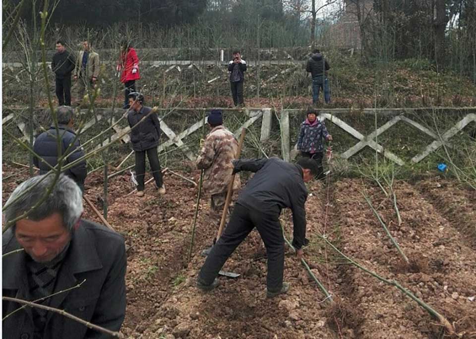 聚焦七彩|七彩林科總經(jīng)理王明理獲“四川省脫貧攻堅(jiān)獎(jiǎng)”