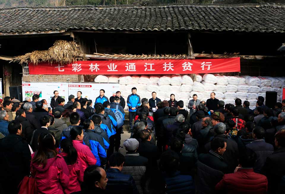 聚焦七彩|七彩林科總經(jīng)理王明理獲“四川省脫貧攻堅(jiān)獎(jiǎng)”