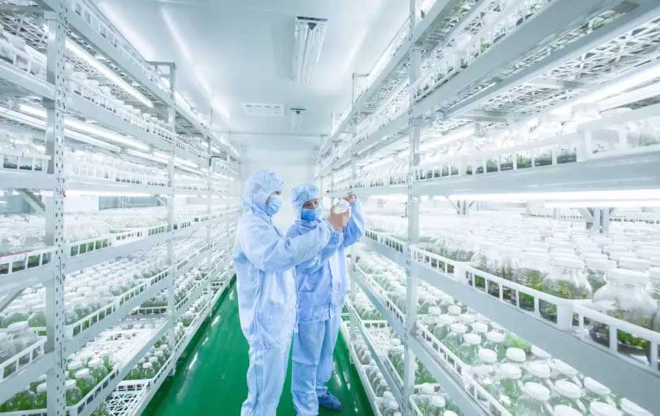 聚焦七彩|七彩林科彩色植物科普基地榮膺“四川省省級科普基地”