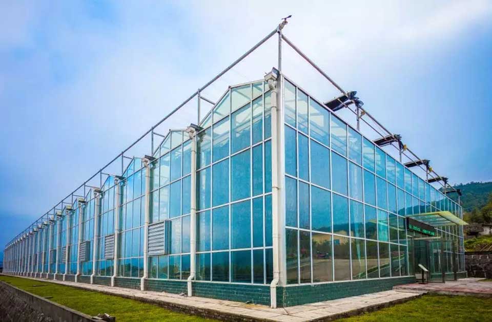 聚焦七彩|七彩林科彩色植物科普基地榮膺“四川省省級科普基地”