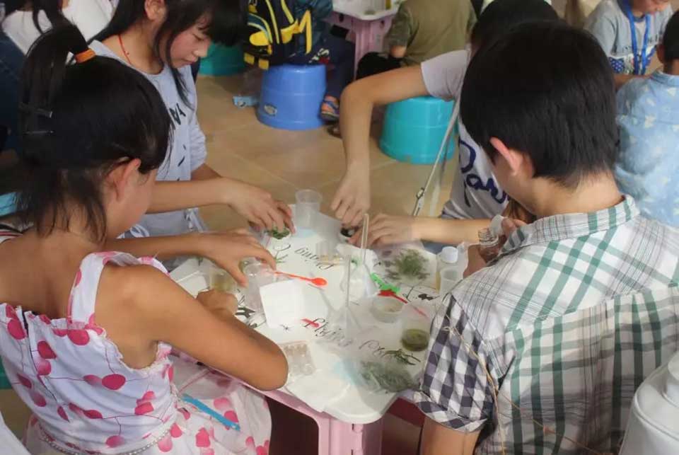 聚焦七彩|七彩林科彩色植物科普基地榮膺“四川省省級科普基地”