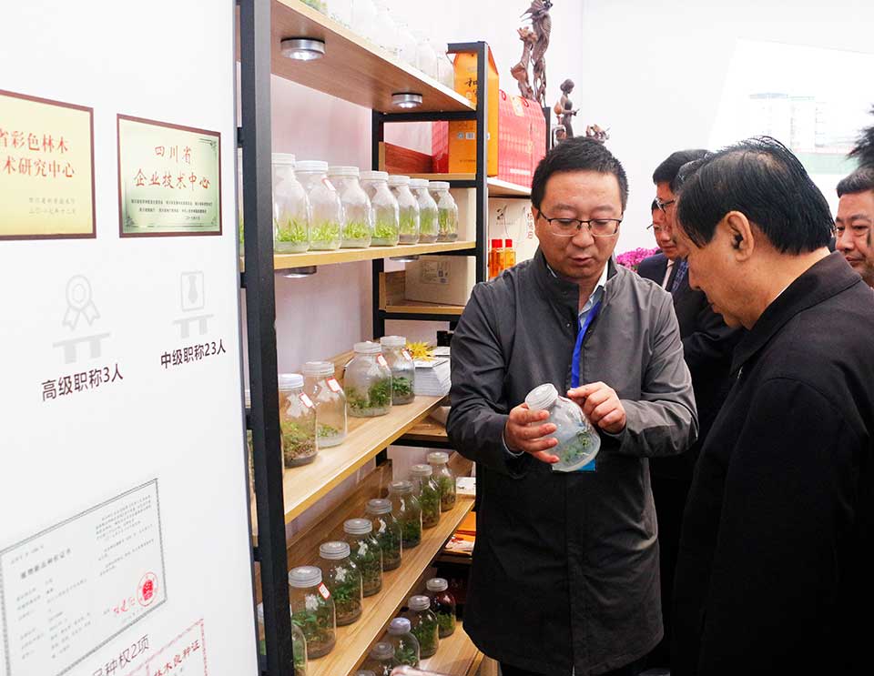 聚焦七彩|第十二屆全國政協(xié)副主席齊續(xù)春參觀訪問七彩林科秦巴農(nóng)洽會展位