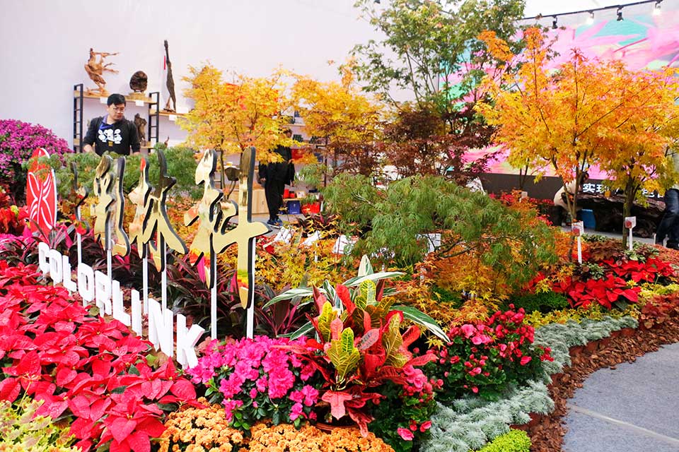 聚焦七彩|第十二屆全國政協(xié)副主席齊續(xù)春參觀訪問七彩林科秦巴農(nóng)洽會展位