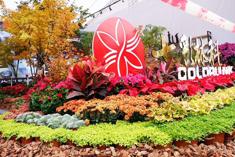 聚焦七彩|第十二屆全國政協(xié)副主席齊續(xù)春參觀訪問七彩林科秦巴農(nóng)洽會展位