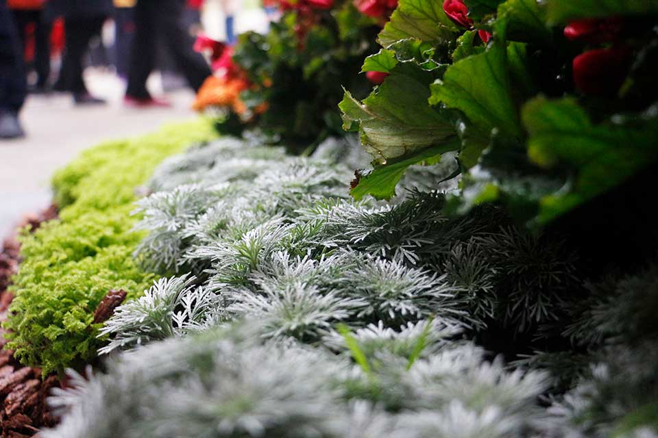 聚焦七彩|第十二屆全國政協(xié)副主席齊續(xù)春參觀訪問七彩林科秦巴農(nóng)洽會展位