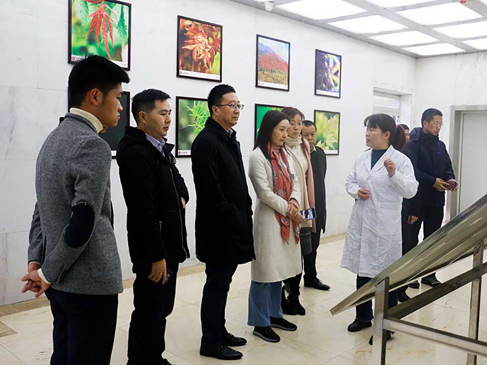 聚焦七彩|華僑城西部集團副總經(jīng)理喬曉燕一行參觀考察七彩林科