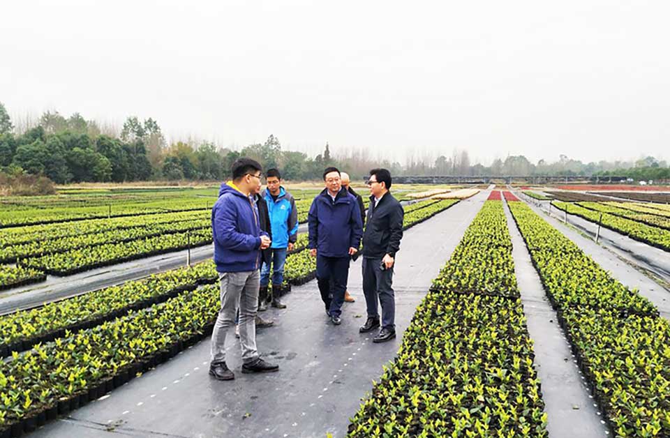 聚焦七彩|國家花卉工程技術(shù)研究中心主任張啟翔一行來訪七彩林科