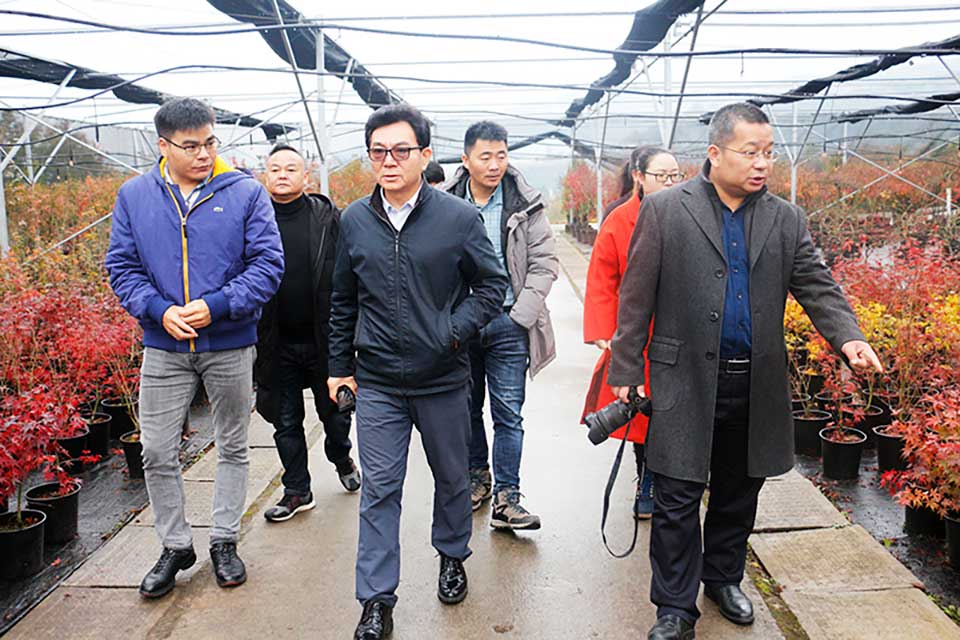 聚焦七彩|國家花卉工程技術(shù)研究中心主任張啟翔一行來訪七彩林科