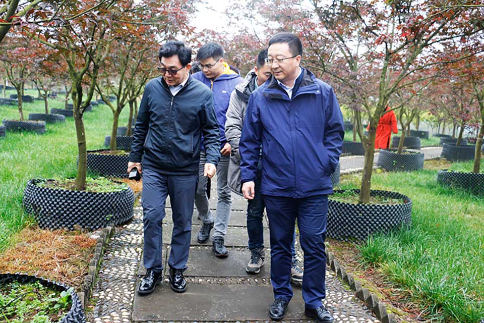 聚焦七彩|國家花卉工程技術(shù)研究中心主任張啟翔一行來訪七彩林科