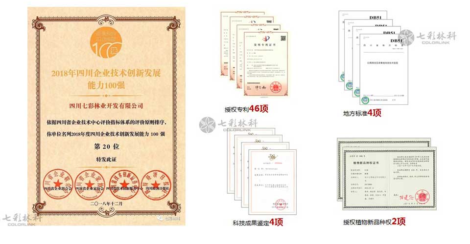 聚焦七彩|七彩林科獲評(píng)“2019年度國(guó)家知識(shí)產(chǎn)權(quán)優(yōu)勢(shì)企業(yè)”
