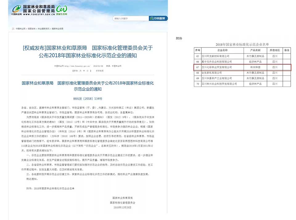 大事記|2019，我們和七彩一起走過的那些難忘瞬間.......