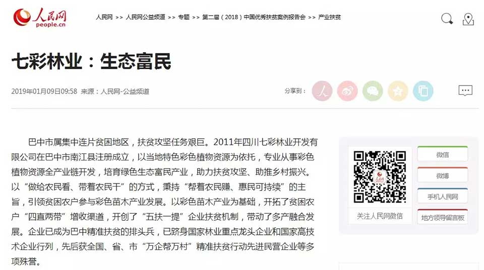 大事記|2019，我們和七彩一起走過的那些難忘瞬間.......