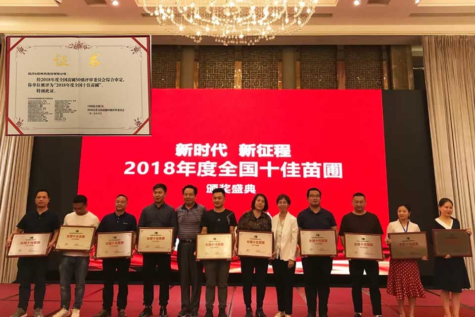 大事記|2019，我們和七彩一起走過的那些難忘瞬間.......