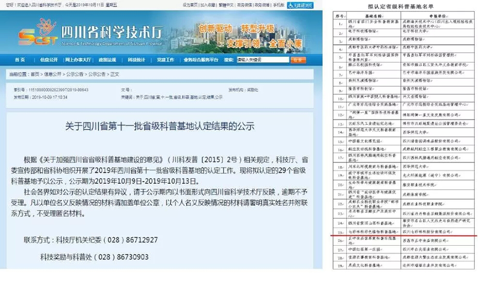 大事記|2019，我們和七彩一起走過的那些難忘瞬間.......