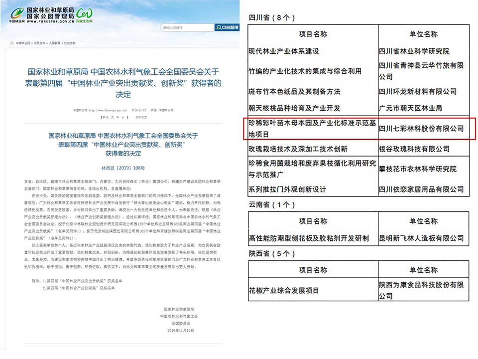 大事記|2019，我們和七彩一起走過的那些難忘瞬間.......