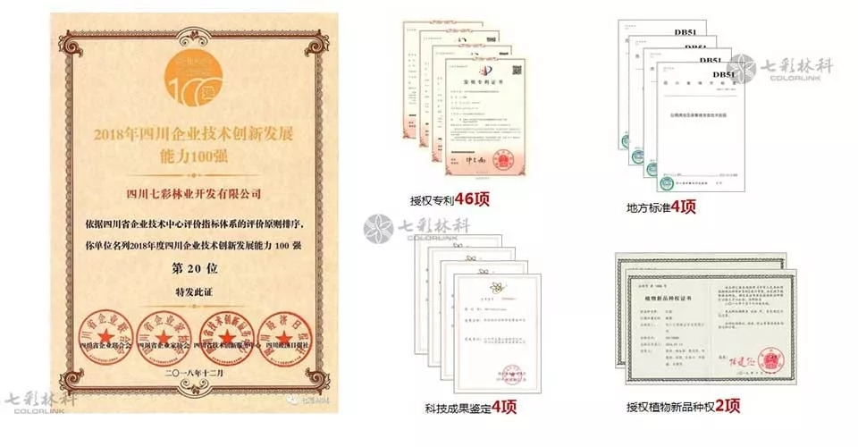 大事記|2019，我們和七彩一起走過的那些難忘瞬間.......