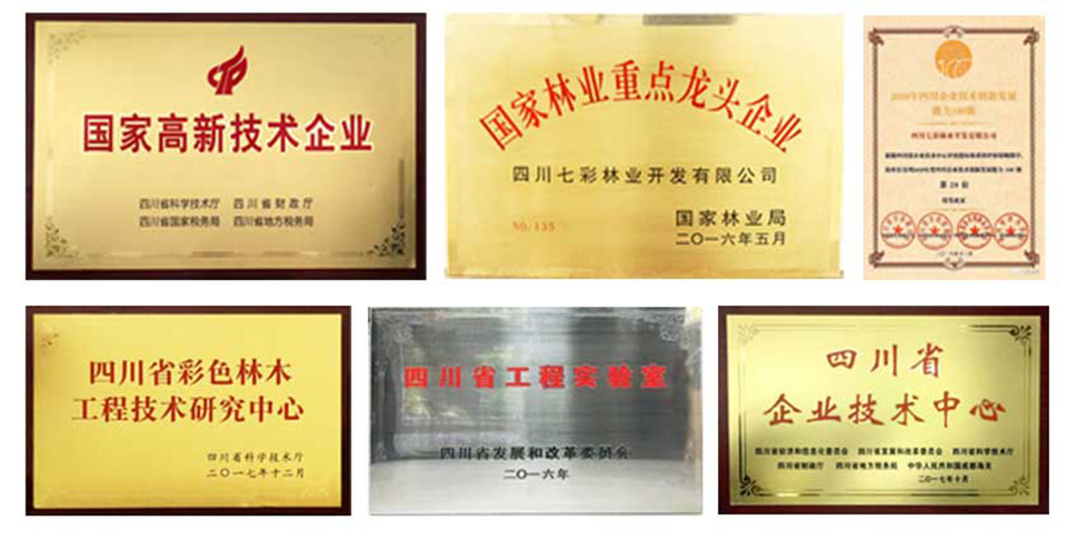 聚焦七彩|七彩林科獲評(píng)四川省科技成果轉(zhuǎn)移轉(zhuǎn)化示范企業(yè)