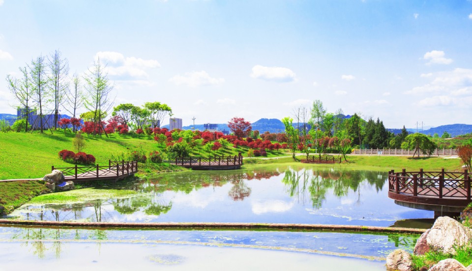 巴中兩村實(shí)踐七彩模式，齊榮膺2019四川鄉(xiāng)村振興戰(zhàn)略示范村！