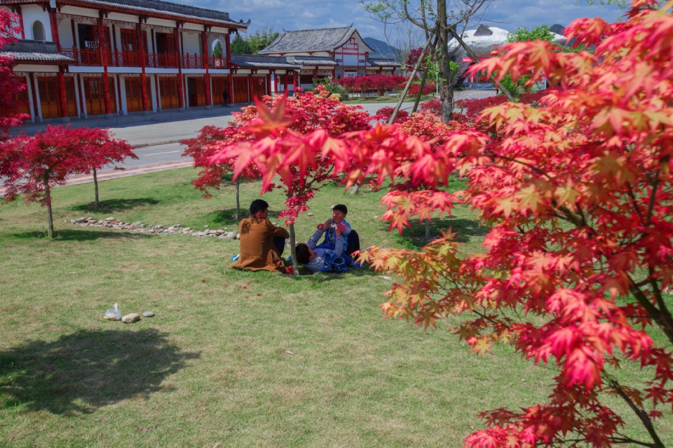 巴中兩村實(shí)踐七彩模式，齊榮膺2019四川鄉(xiāng)村振興戰(zhàn)略示范村！