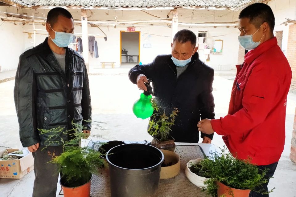 “花領(lǐng)學(xué)院”盆栽技術(shù)培訓(xùn)高新區(qū)開講 奏響鄉(xiāng)村振興“沖鋒號”