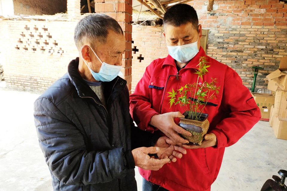 “花領(lǐng)學(xué)院”盆栽技術(shù)培訓(xùn)高新區(qū)開講 奏響鄉(xiāng)村振興“沖鋒號”